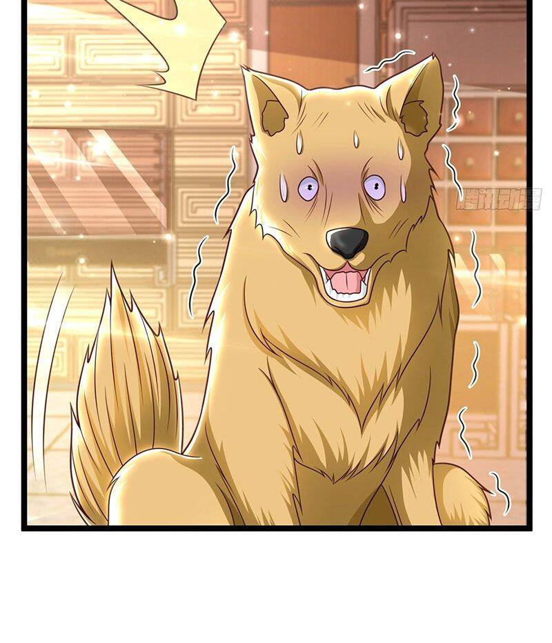 Thế Thân Thiếu Gia Không Dễ Chọc Chapter 49 - 63