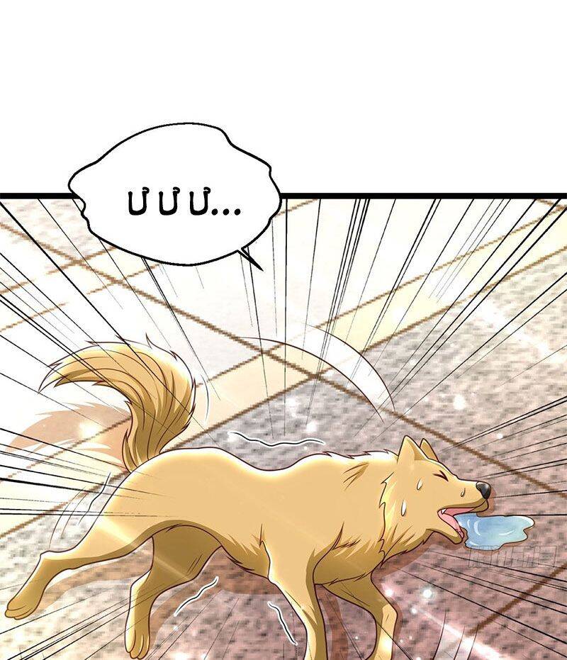 Thế Thân Thiếu Gia Không Dễ Chọc Chapter 49 - 64