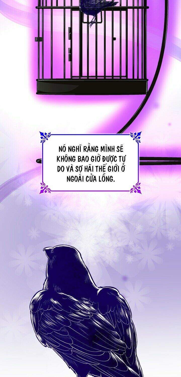 Tôi Đánh Mất Dây Xích Kiềm Chế Nam Chính Hắc Ám Chapter 18 - 23