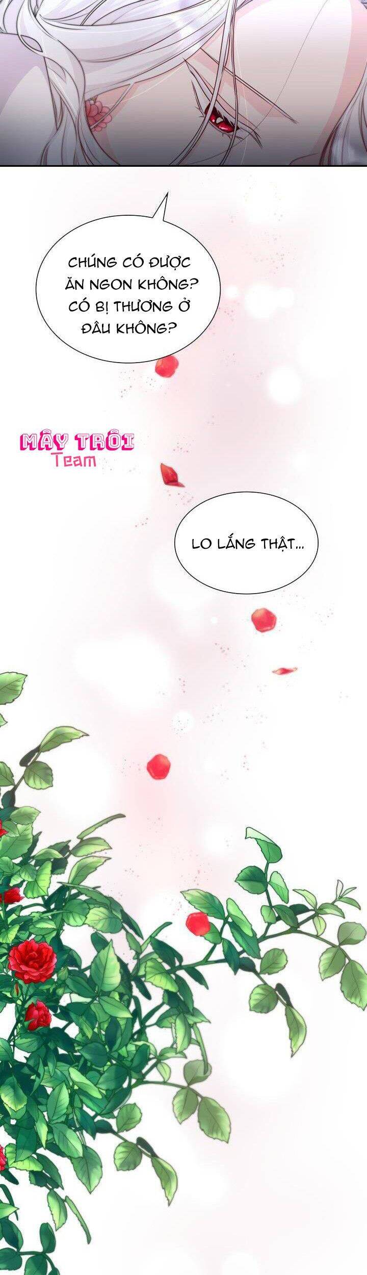 Tôi Đánh Mất Dây Xích Kiềm Chế Nam Chính Hắc Ám Chapter 35 - 17