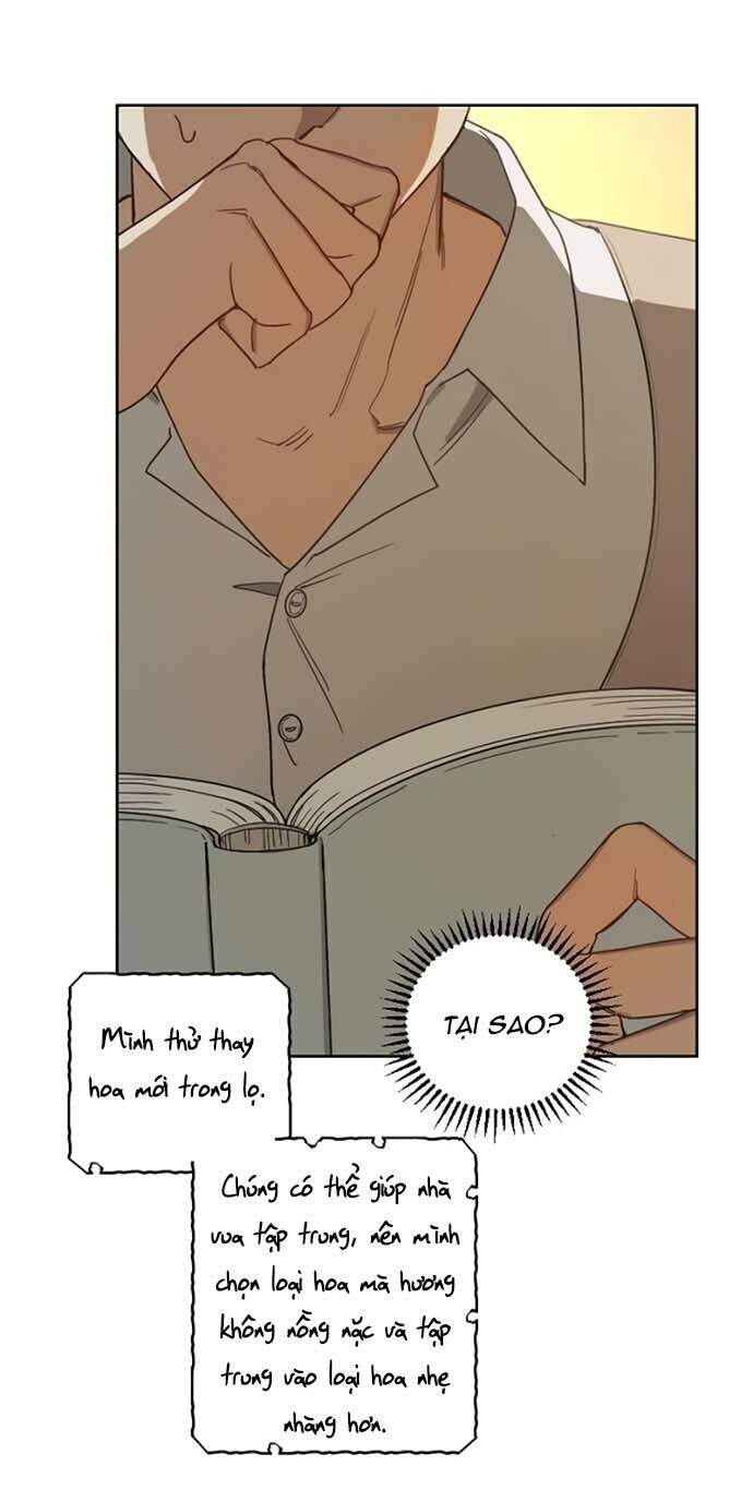 Hoàng Đế Đảo Ngược Thời Gian Chapter 2 - 12