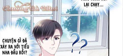 Bảo Bối Của Lão Đại Đã Xuyên Không Trở Về! Chapter 59 - 31