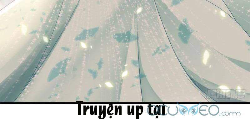 Bảo Bối Của Lão Đại Đã Xuyên Không Trở Về! Chapter 51 - 6