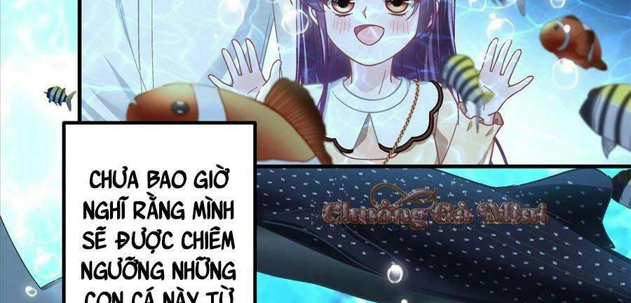 Bảo Bối Của Lão Đại Đã Xuyên Không Trở Về! Chapter 64 - 60