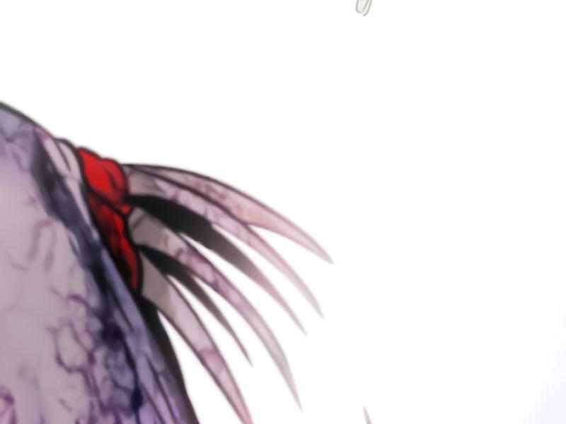 Kẻ Đa Tài Chapter 27.5 - 125