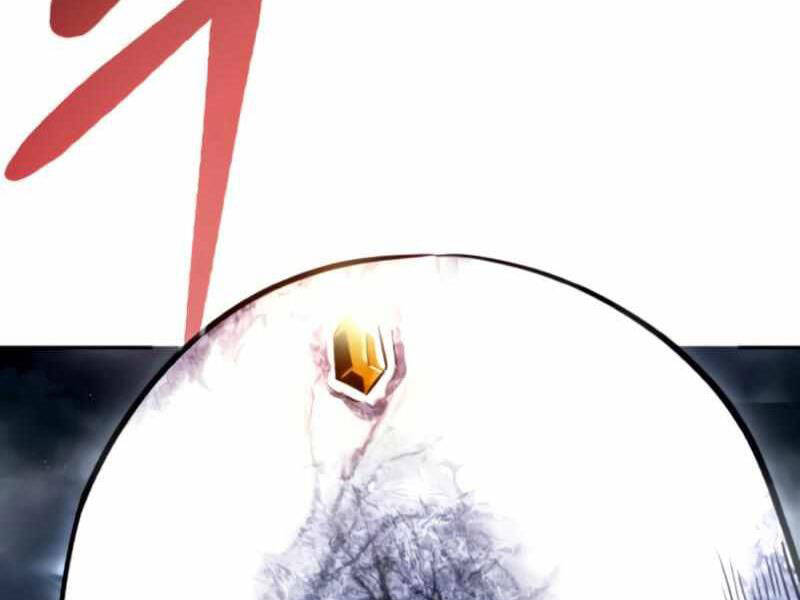 Kẻ Đa Tài Chapter 27.5 - 9