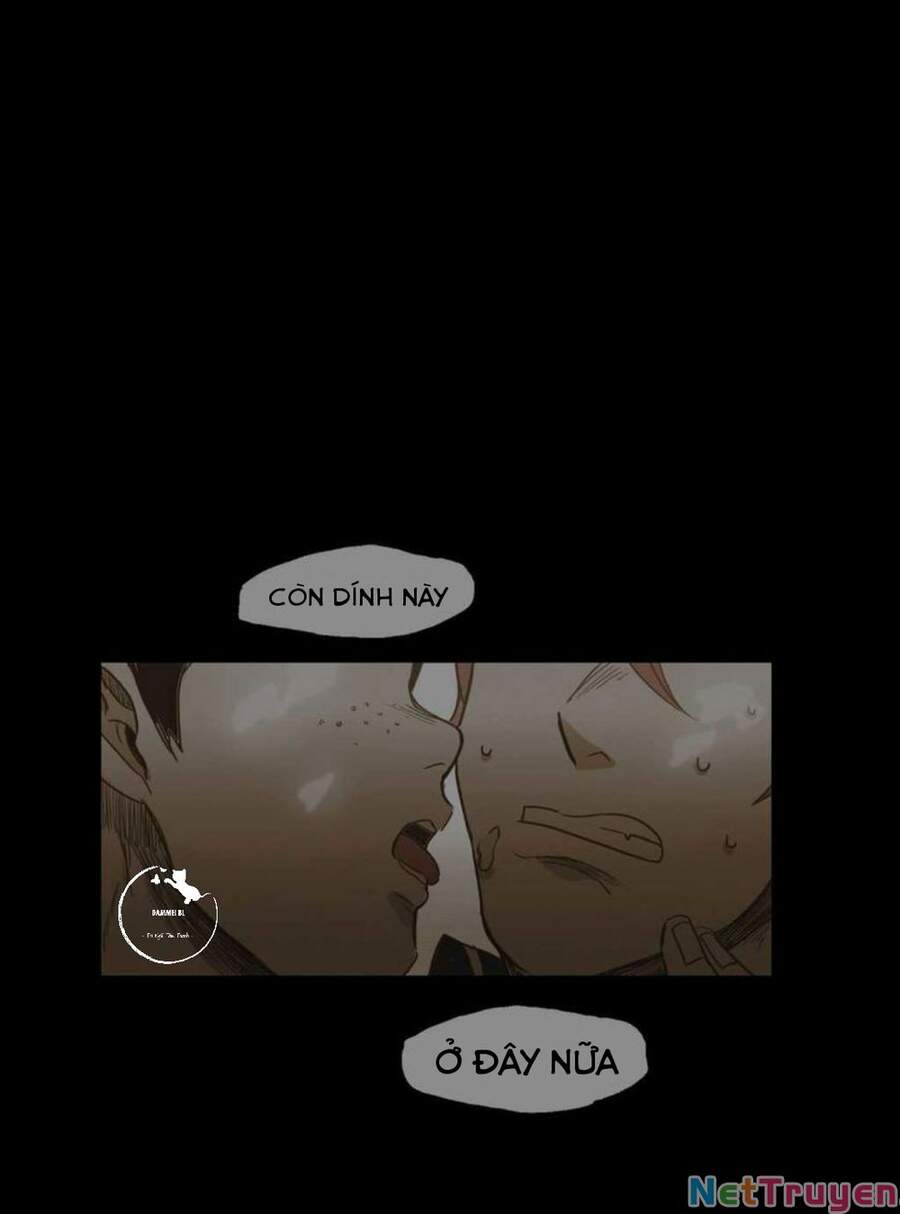 Không Bao Giờ Hiểu Chapter 40 - 49