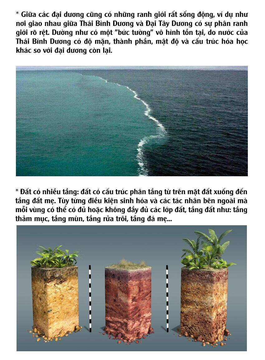 Tuyển Tập Oneshot Chapter 119 - 79