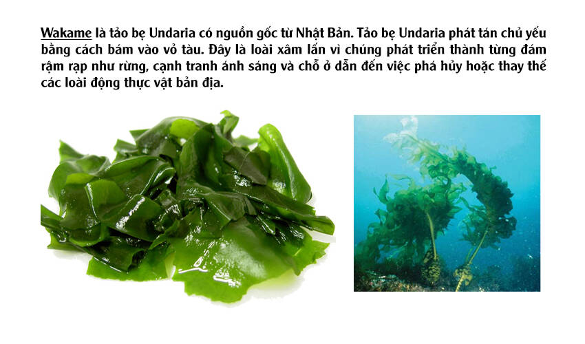 Tuyển Tập Oneshot Chapter 122 - 14