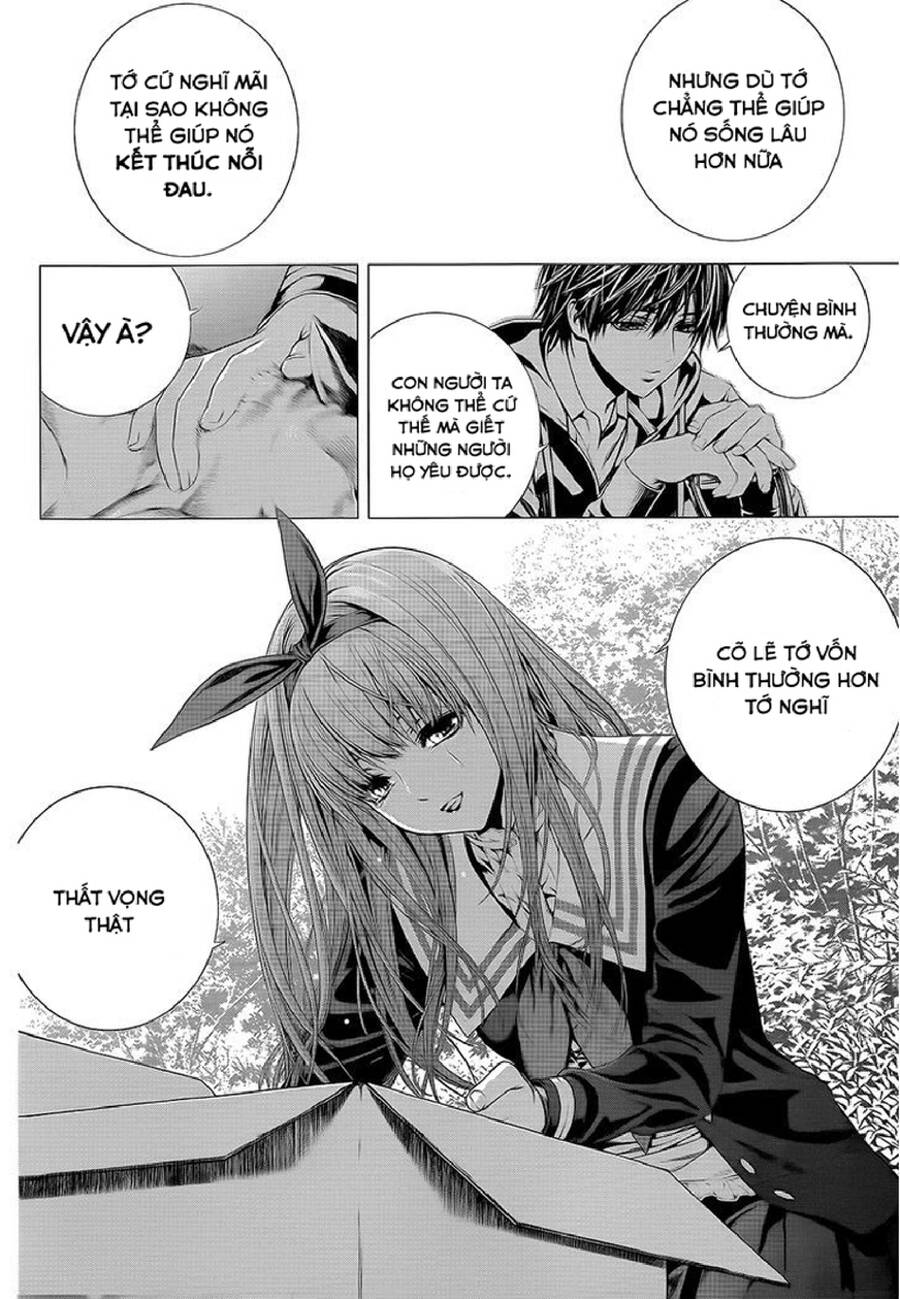 Tuyển Tập Oneshot Chapter 259 - 13