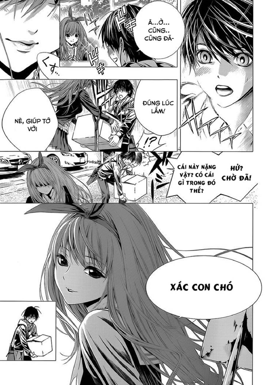 Tuyển Tập Oneshot Chapter 259 - 8