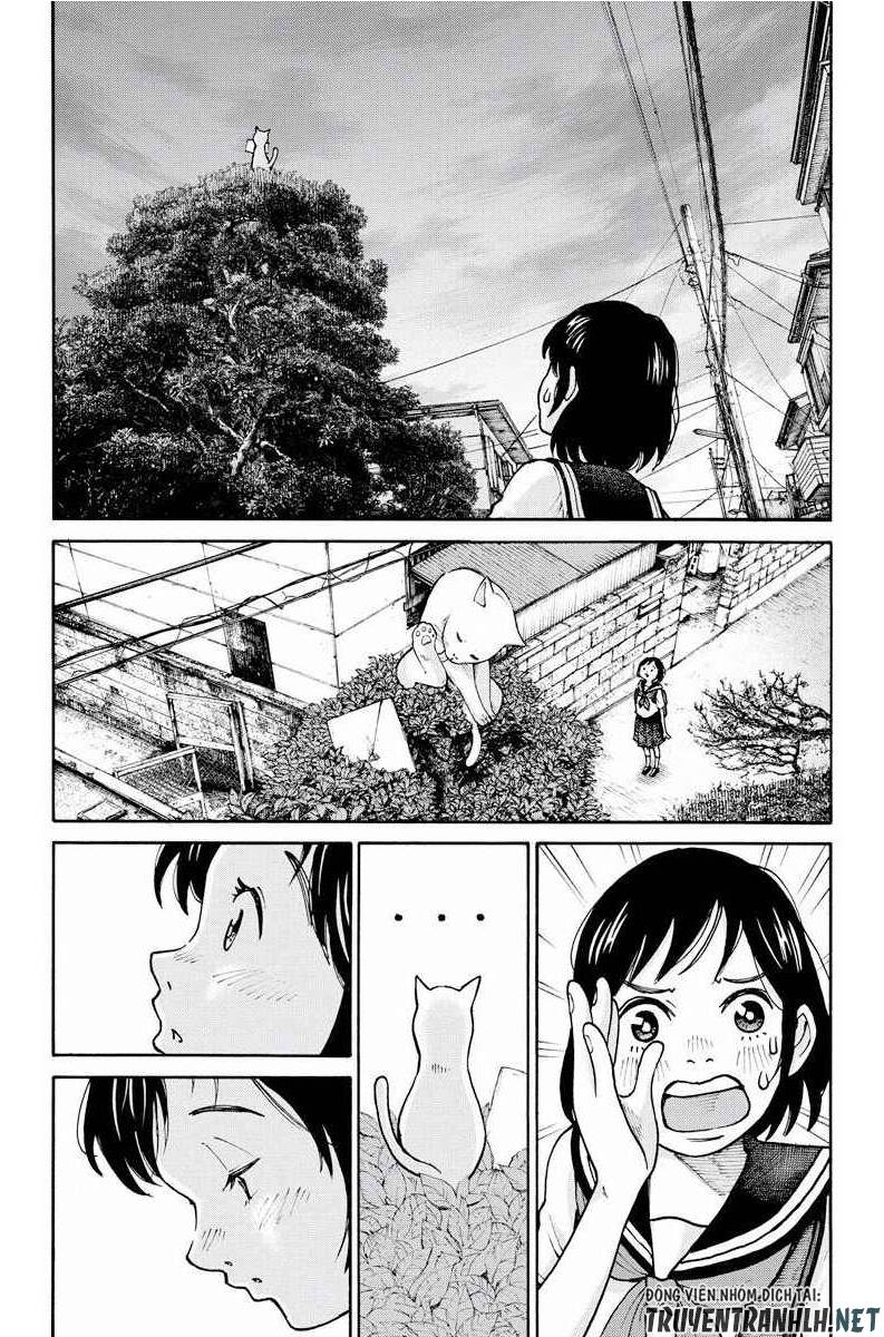 Tuyển Tập Oneshot Chapter 262 - 13