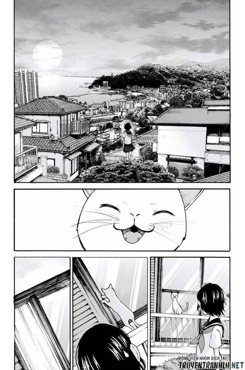 Tuyển Tập Oneshot Chapter 262 - 17