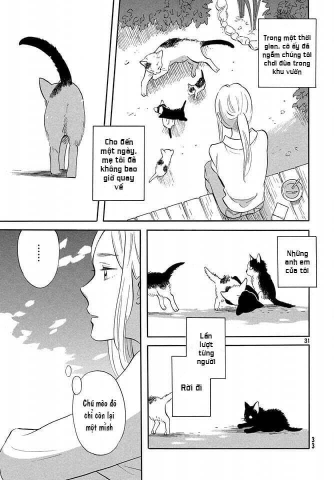 Tuyển Tập Oneshot Chapter 81.5 - 22