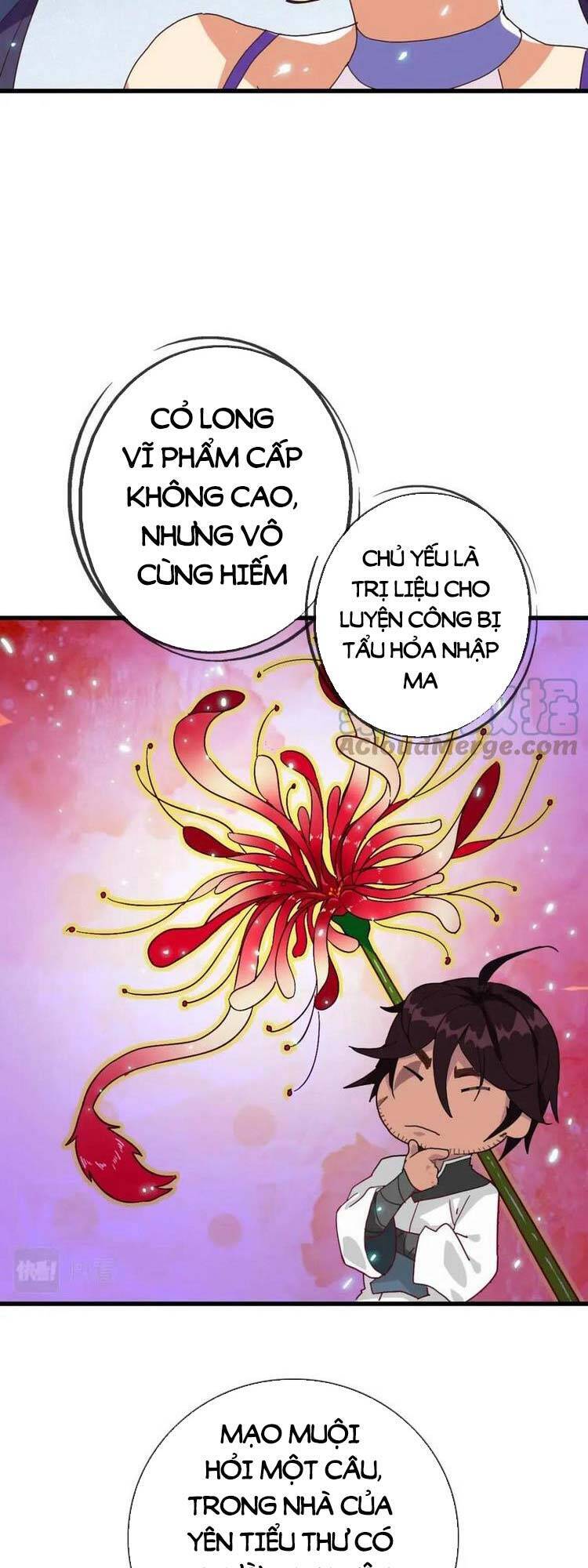 Hệ Thống Thăng Cấp Điên Cuồng Chapter 24 - 20