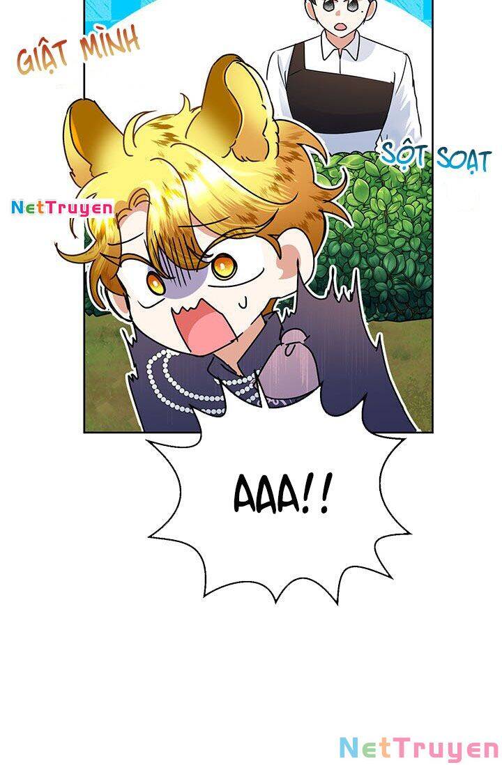 Cuộc Sống Vui Vẻ Của Ác Nữ Chapter 34.1 - 71