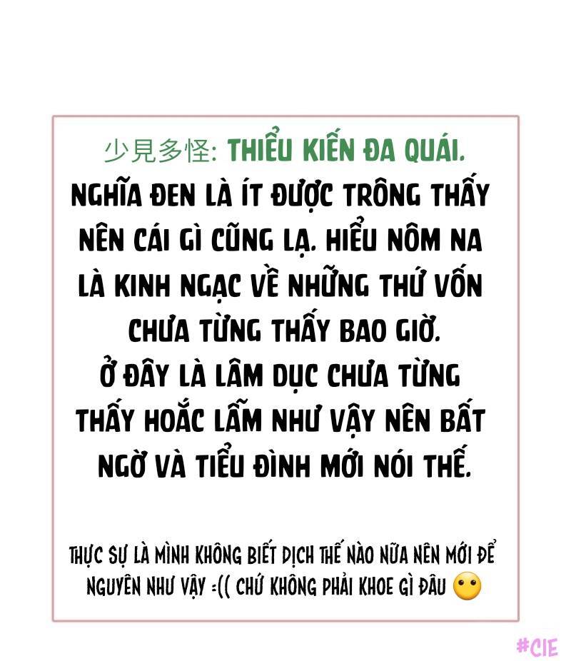 Boss Là Kim Chủ Của Tôi Chapter 53 - 40