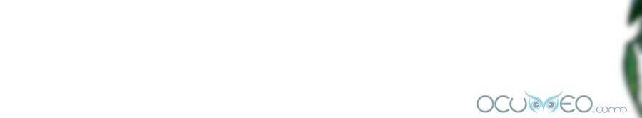 Lòng Trung Thành Với Kẻ Ác Chapter 1 - 39