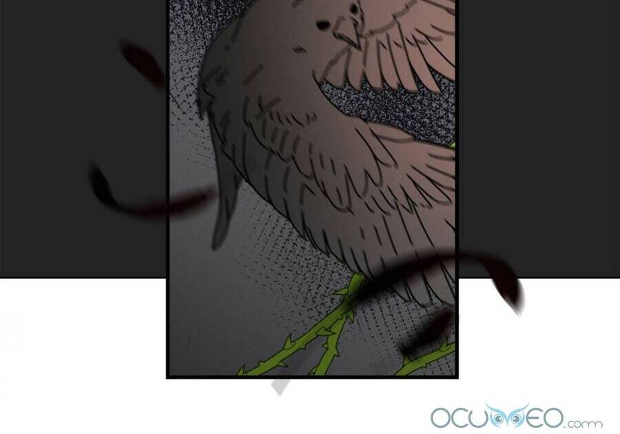 Lòng Trung Thành Với Kẻ Ác Chapter 3 - 77