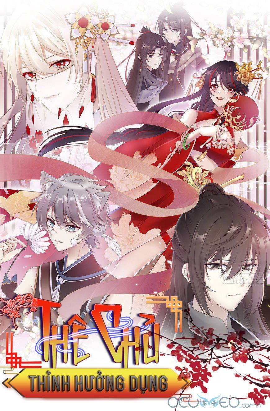 Thê Chủ, Thỉnh Hưởng Dụng Chapter 0.2 - 1