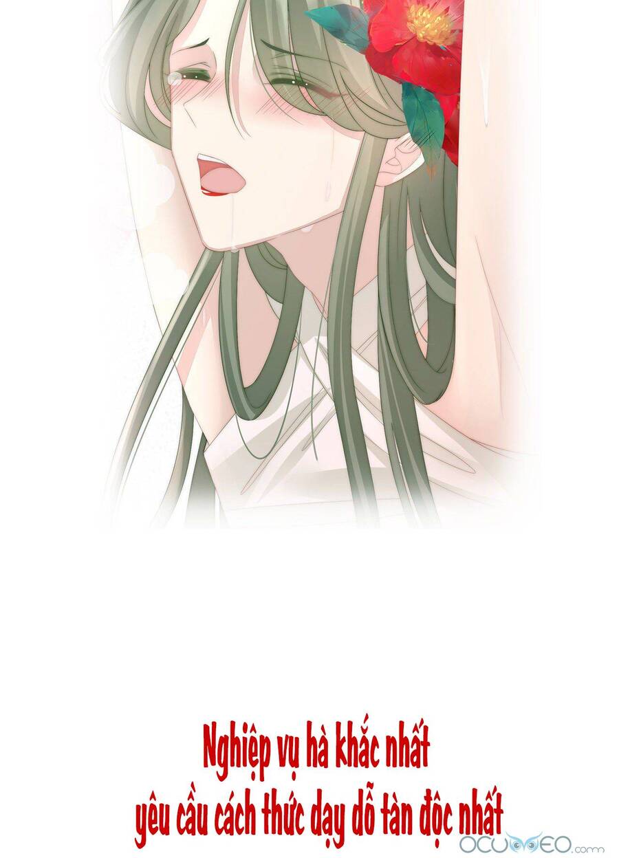 Thê Chủ, Thỉnh Hưởng Dụng Chapter 0.3 - 15