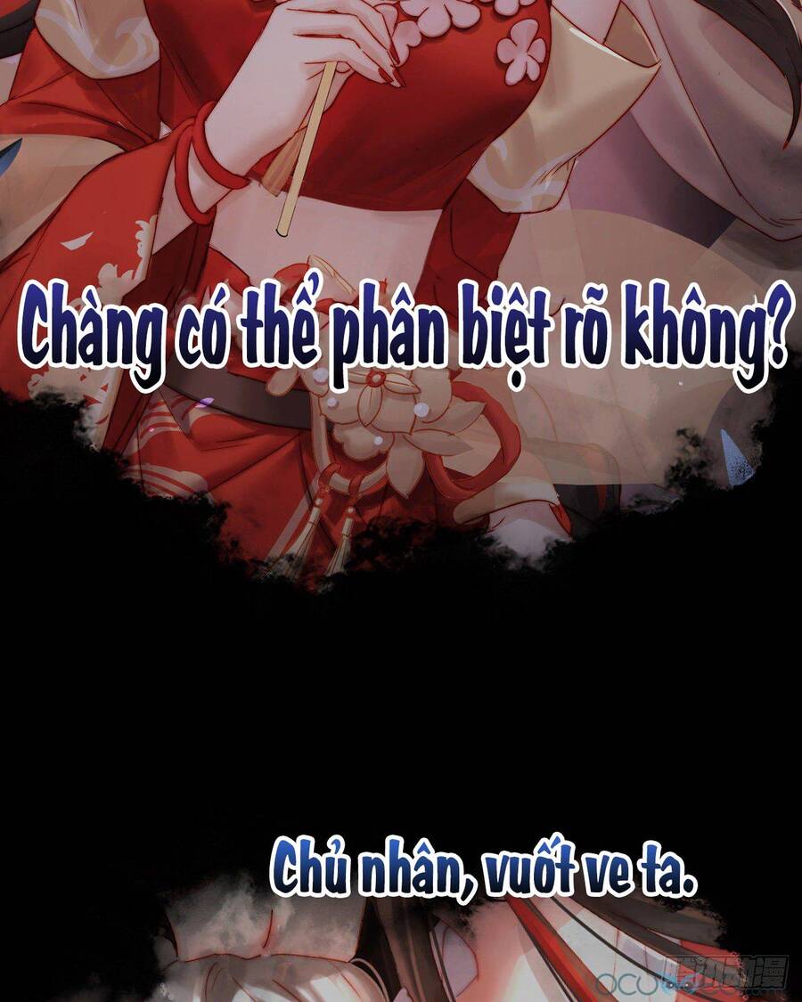 Thê Chủ, Thỉnh Hưởng Dụng Chapter 0.3 - 38