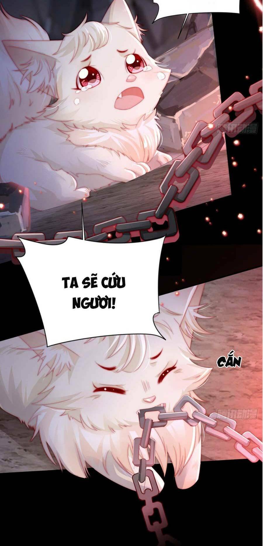 Thê Chủ, Thỉnh Hưởng Dụng Chapter 1.1 - 6