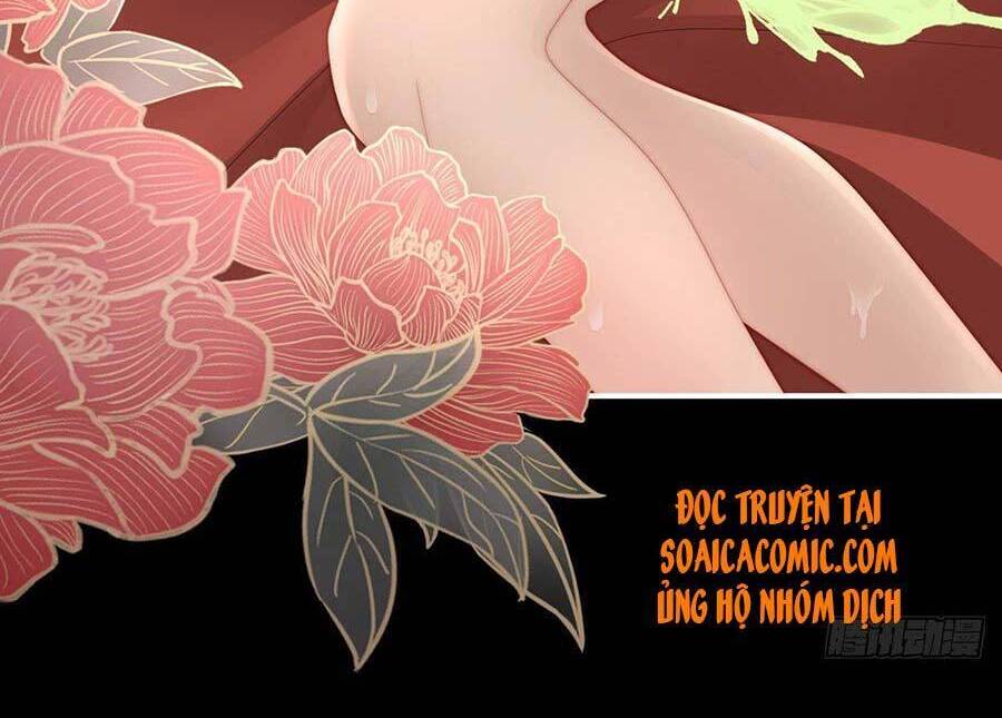 Thê Chủ, Thỉnh Hưởng Dụng Chapter 15 - 21