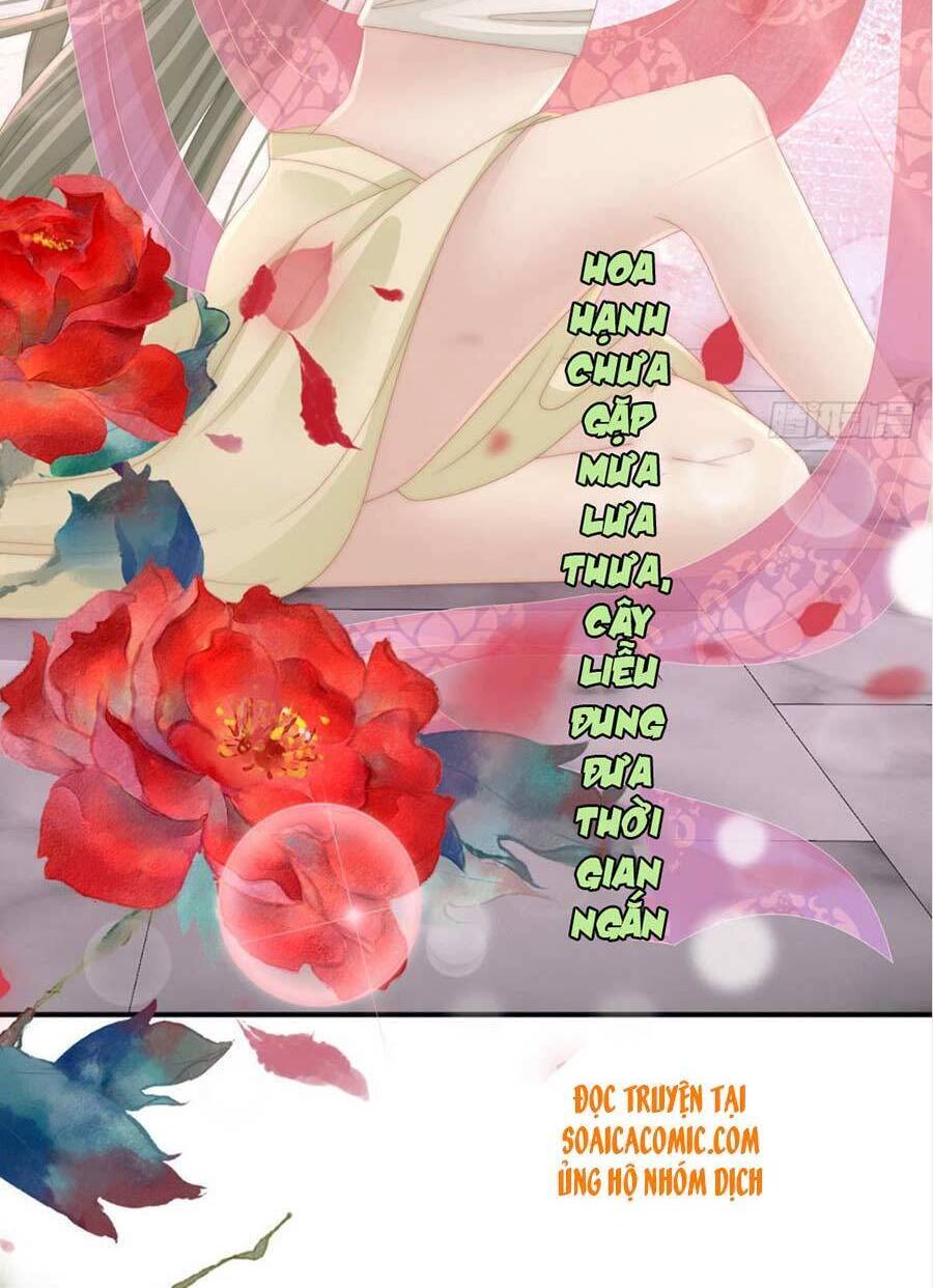 Thê Chủ, Thỉnh Hưởng Dụng Chapter 16 - 24