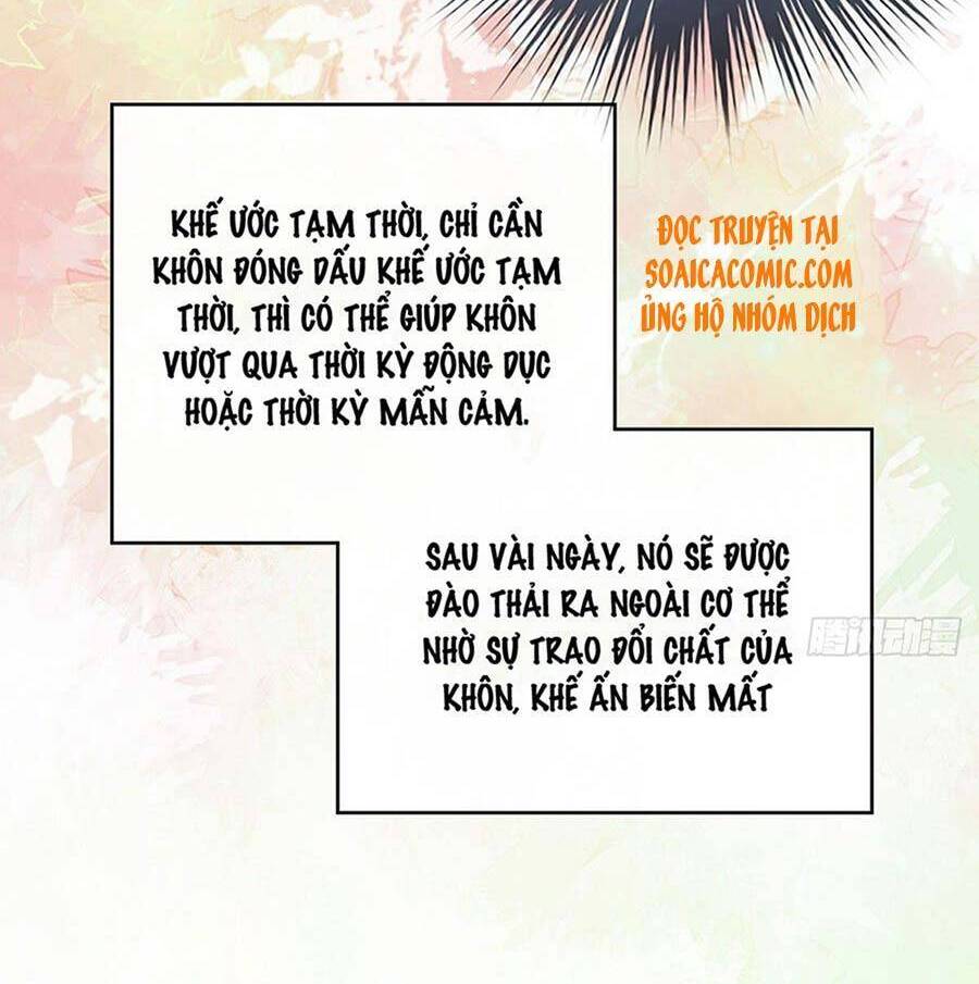 Thê Chủ, Thỉnh Hưởng Dụng Chapter 17 - 19