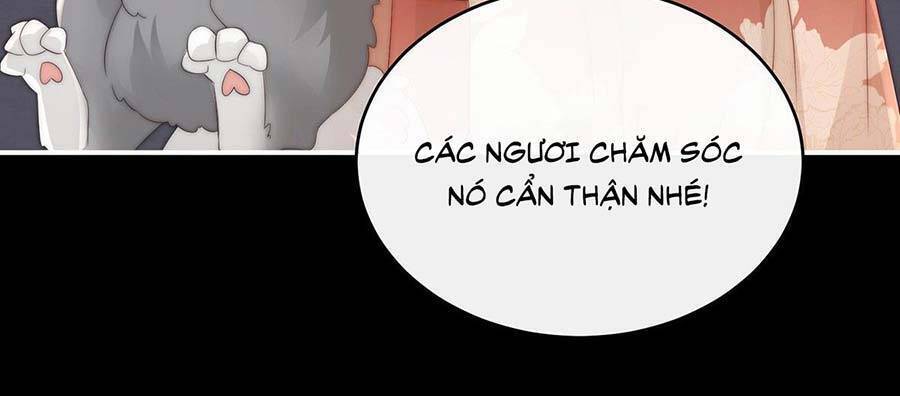 Thê Chủ, Thỉnh Hưởng Dụng Chapter 20 - 15