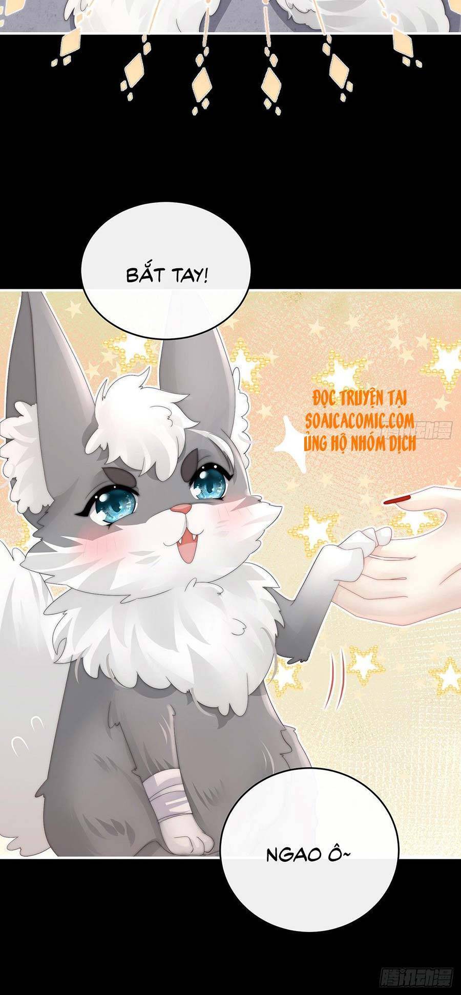 Thê Chủ, Thỉnh Hưởng Dụng Chapter 20 - 20