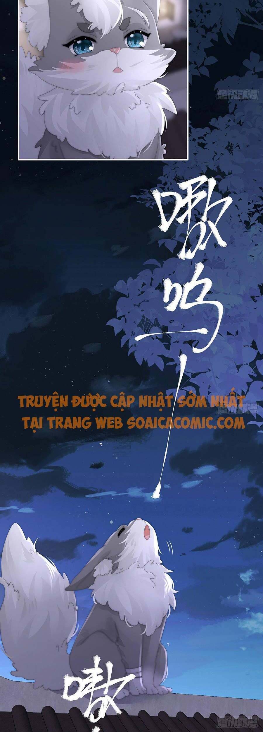 Thê Chủ, Thỉnh Hưởng Dụng Chapter 20 - 23