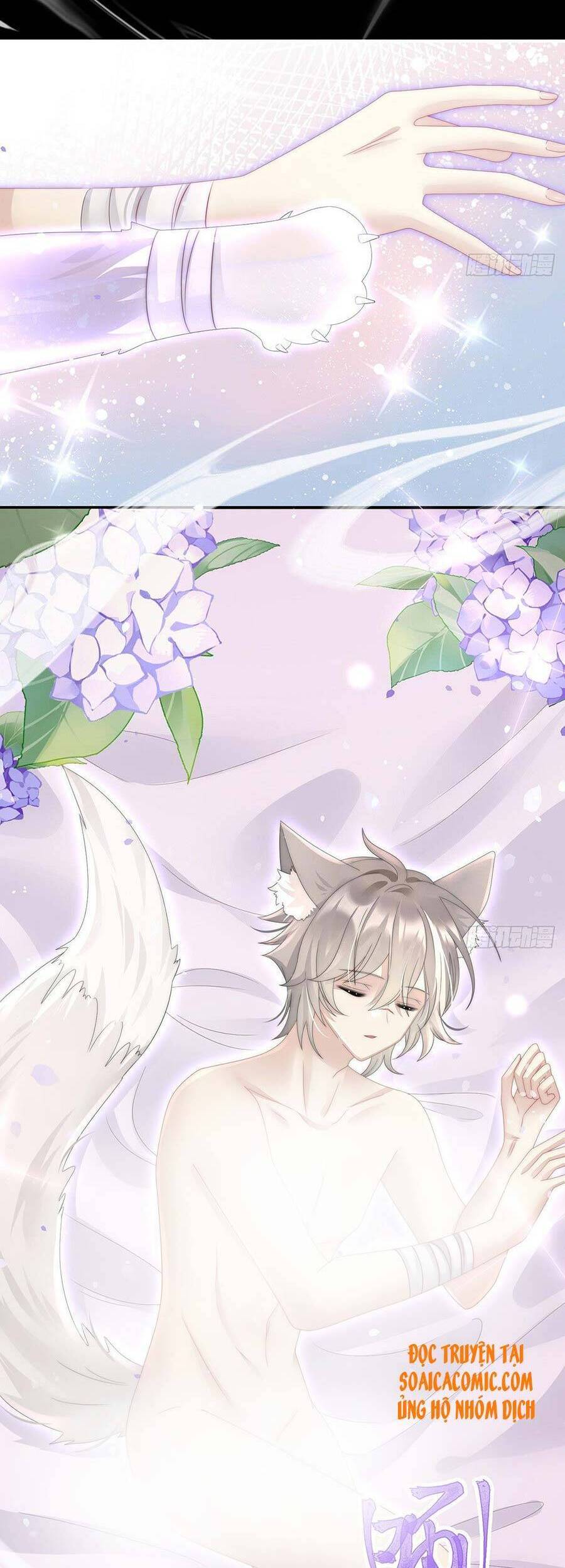 Thê Chủ, Thỉnh Hưởng Dụng Chapter 20 - 29