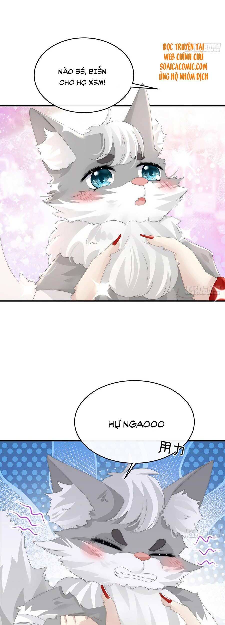 Thê Chủ, Thỉnh Hưởng Dụng Chapter 21 - 25