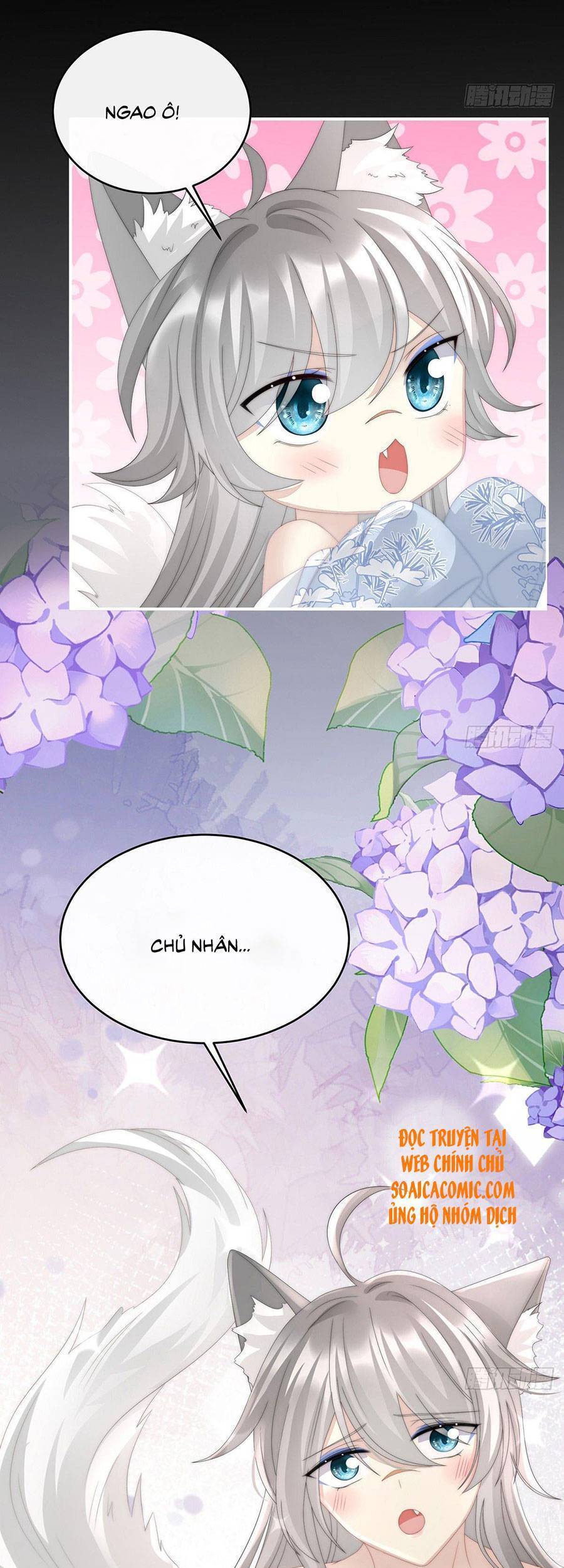 Thê Chủ, Thỉnh Hưởng Dụng Chapter 24 - 18