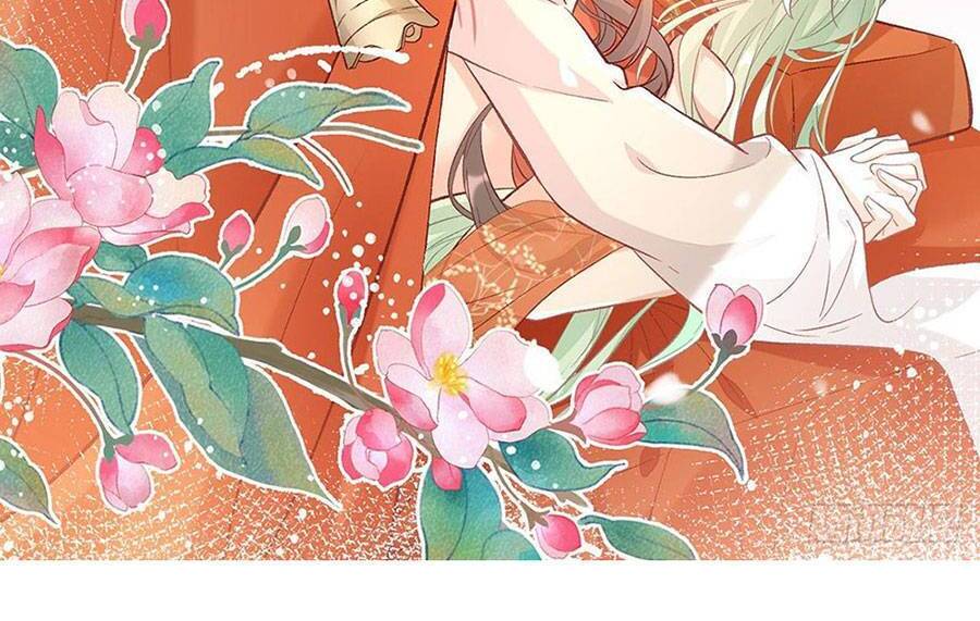 Thê Chủ, Thỉnh Hưởng Dụng Chapter 25 - 34