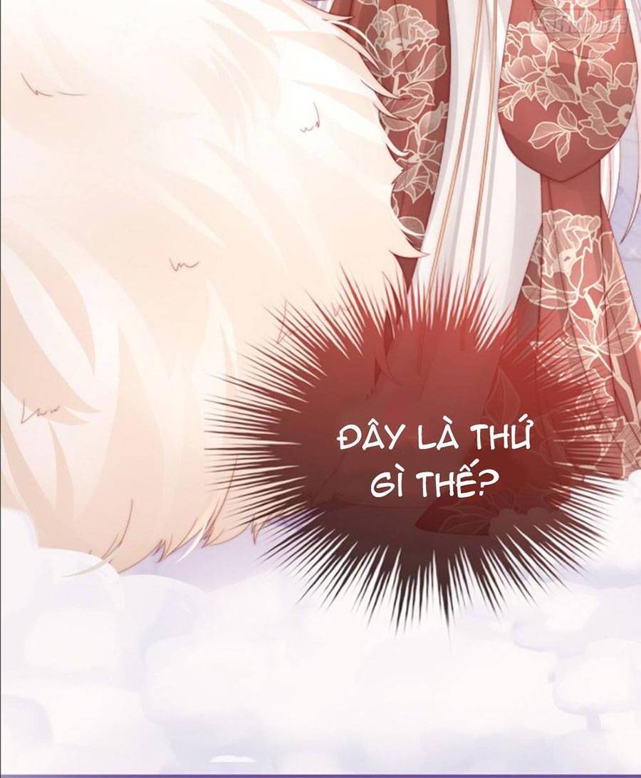 Thê Chủ, Thỉnh Hưởng Dụng Chapter 27 - 21