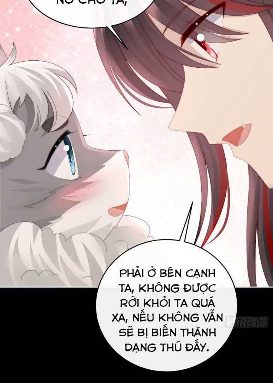 Thê Chủ, Thỉnh Hưởng Dụng Chapter 47 - 28