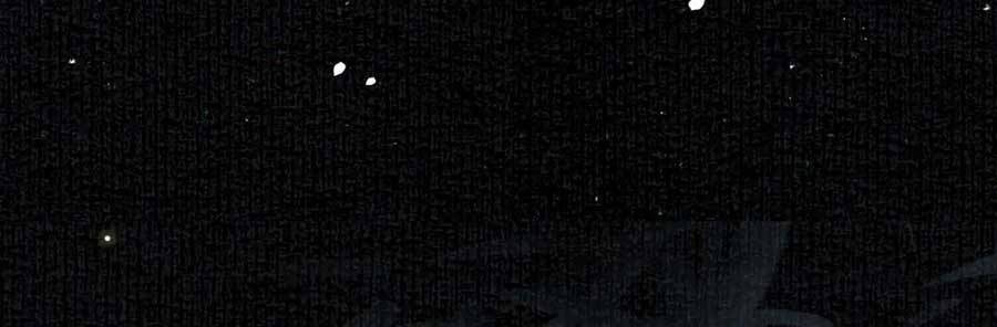 Cô Vương Quả Nữ Chapter 50 - 13