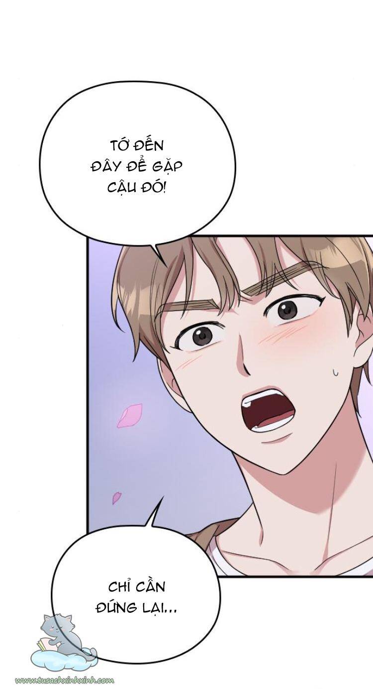 Cô Đi Mà Kết Hôn Với Chồng Tôi Đi Chapter 12 - 91