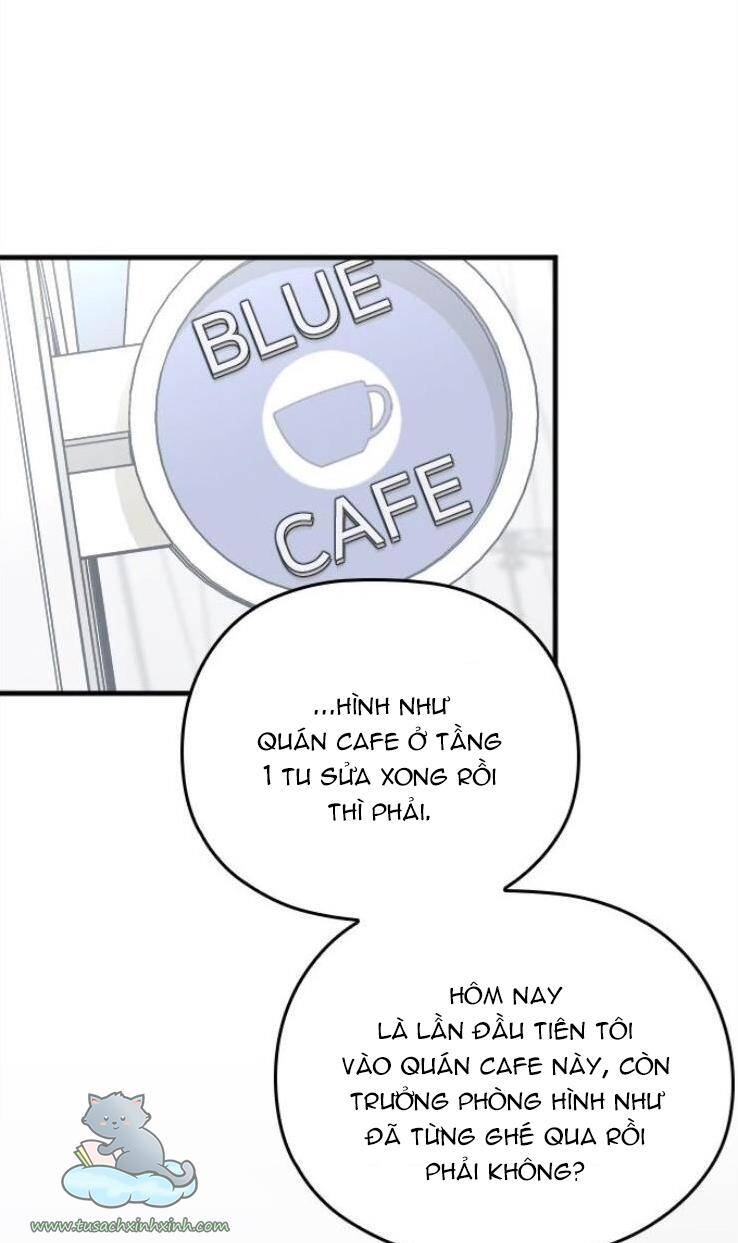 Cô Đi Mà Kết Hôn Với Chồng Tôi Đi Chapter 16 - 79