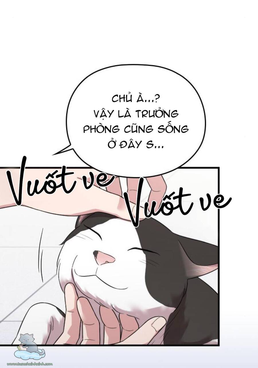 Cô Đi Mà Kết Hôn Với Chồng Tôi Đi Chapter 25 - 84