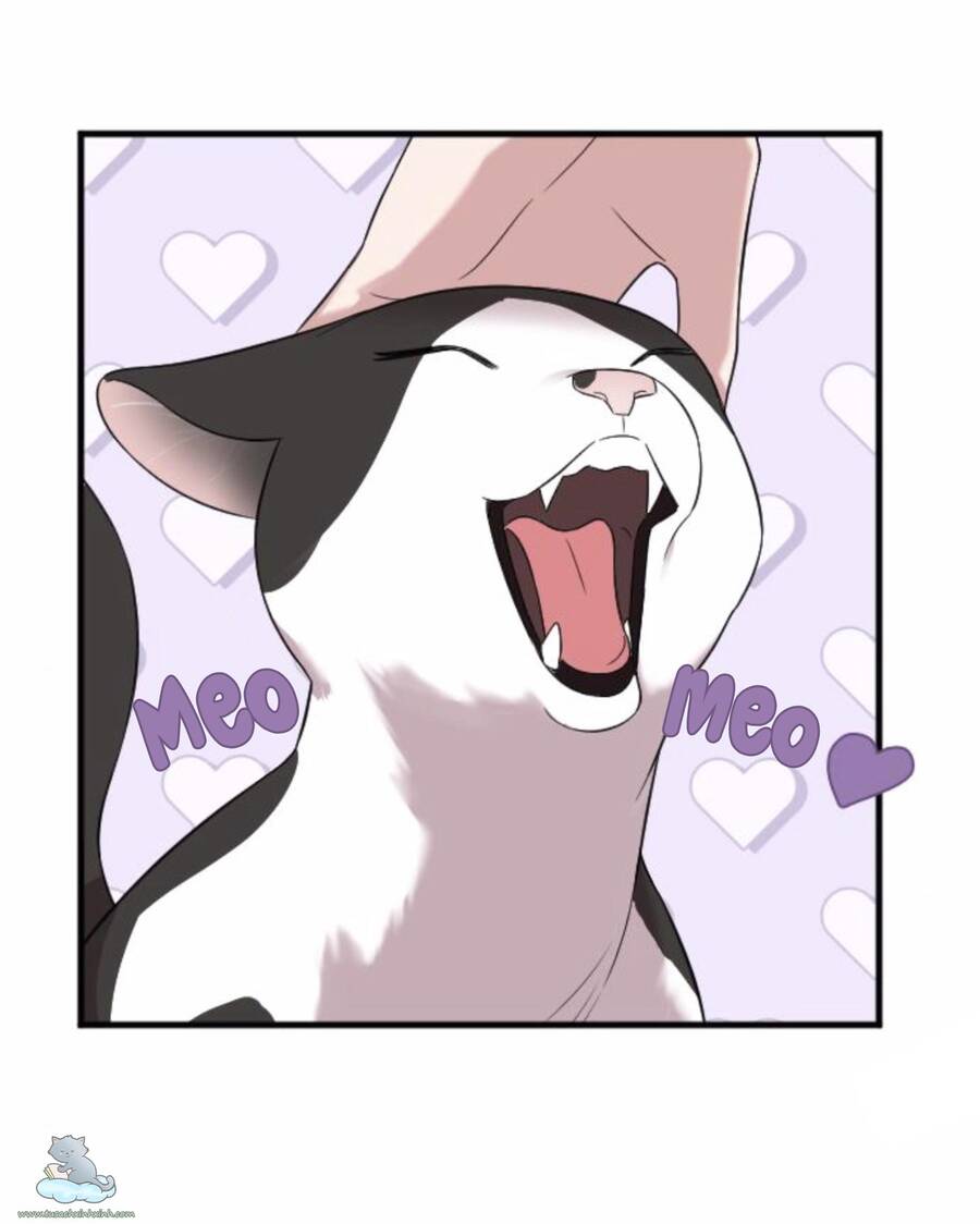 Cô Đi Mà Kết Hôn Với Chồng Tôi Đi Chapter 31 - 102