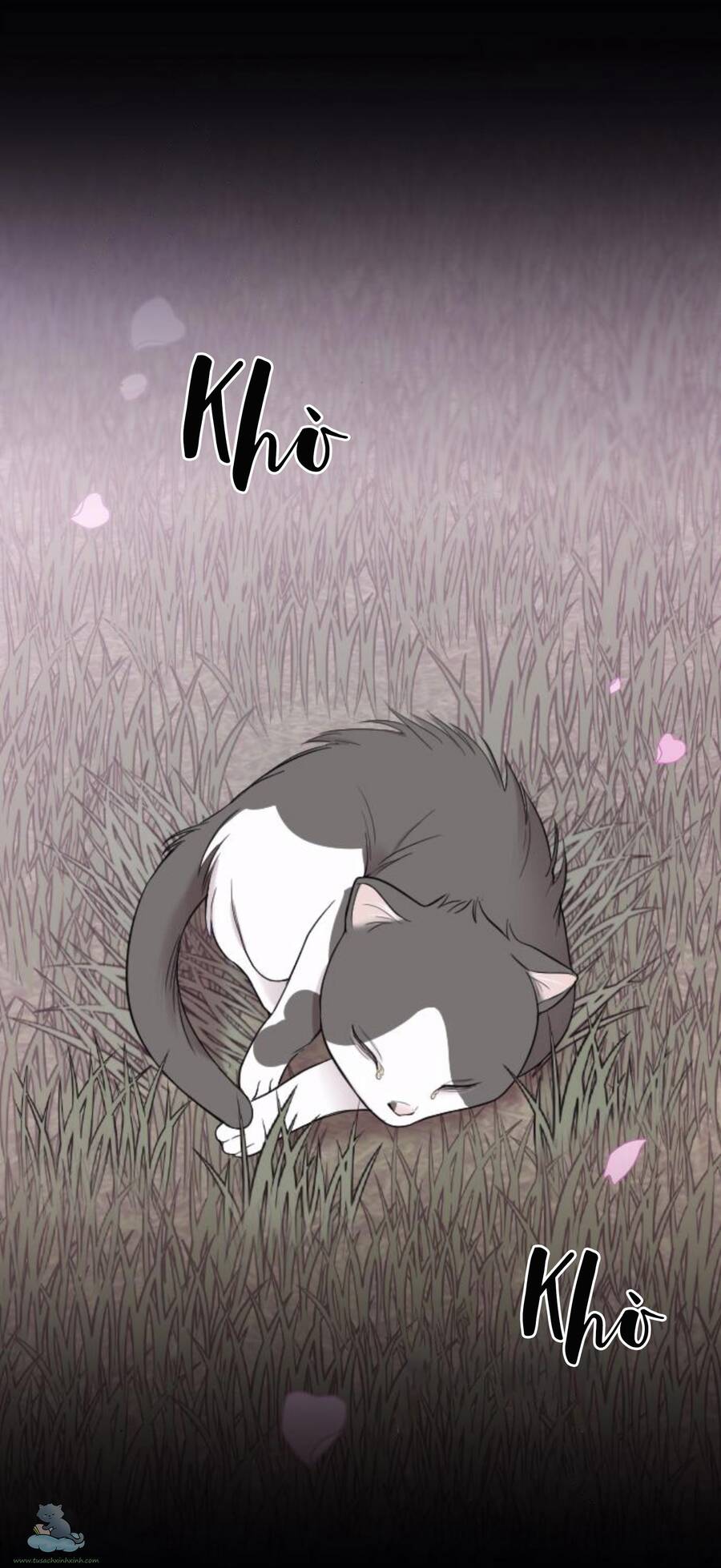 Cô Đi Mà Kết Hôn Với Chồng Tôi Đi Chapter 32 - 15