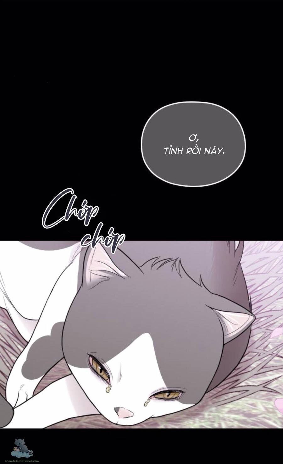 Cô Đi Mà Kết Hôn Với Chồng Tôi Đi Chapter 32 - 16