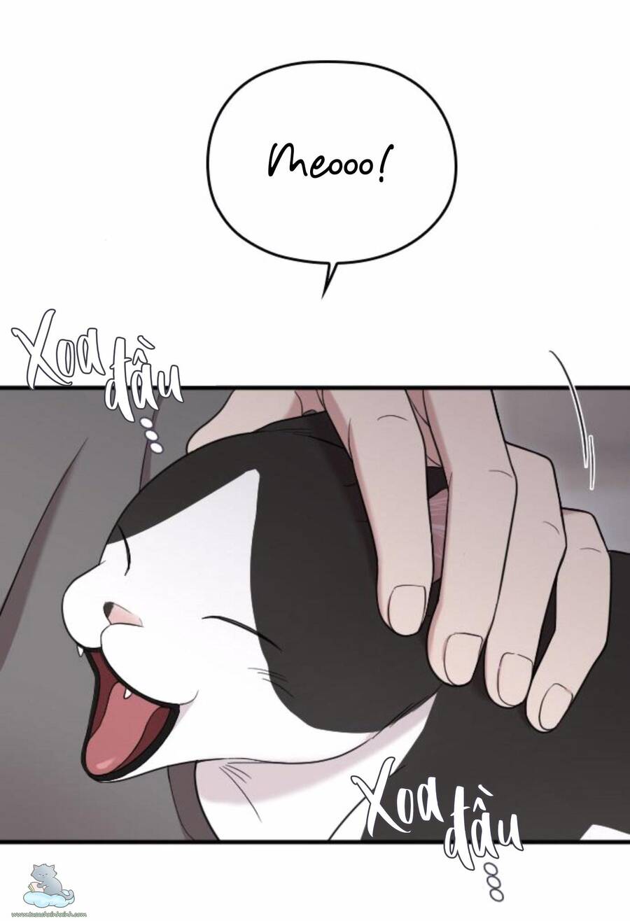 Cô Đi Mà Kết Hôn Với Chồng Tôi Đi Chapter 32 - 38