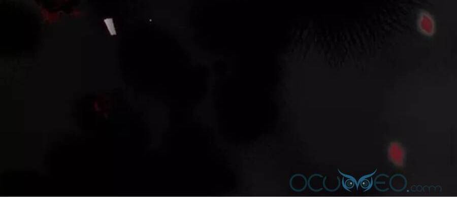 Công Tước Ác Quỷ Không Ngủ Được Chapter 12 - 68