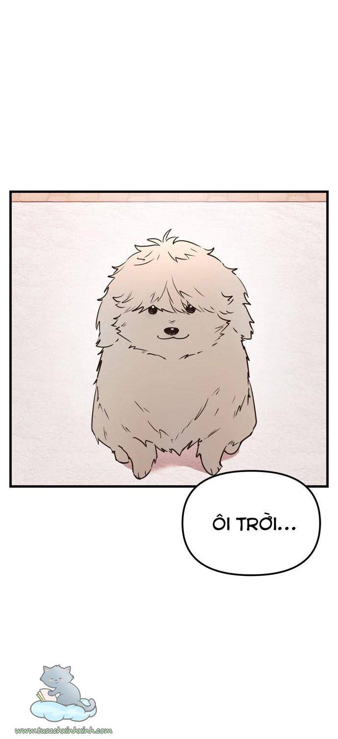 Căn Hộ Ký Túc Xá Của Pháp Sư Chapter 11 - 63