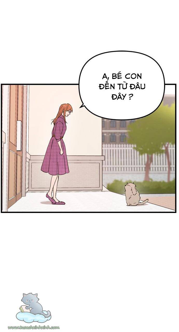 Căn Hộ Ký Túc Xá Của Pháp Sư Chapter 11 - 64